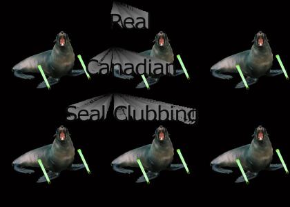 Canadian seal clubbing