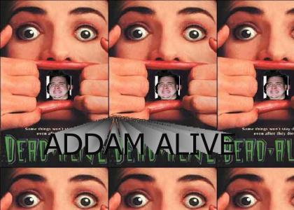Addam Alive