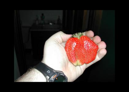 giant strawberry!