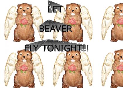 LET BEAVER FLY TONIGHT