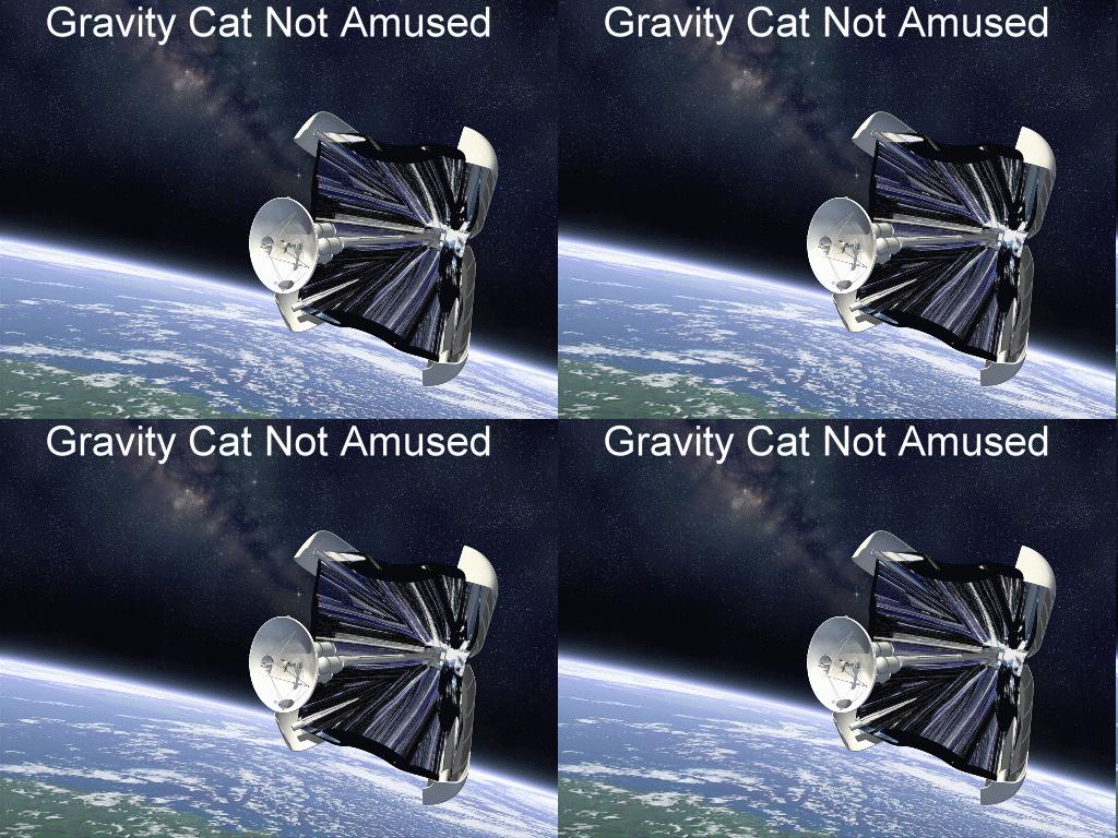 gravitycatinspacelol