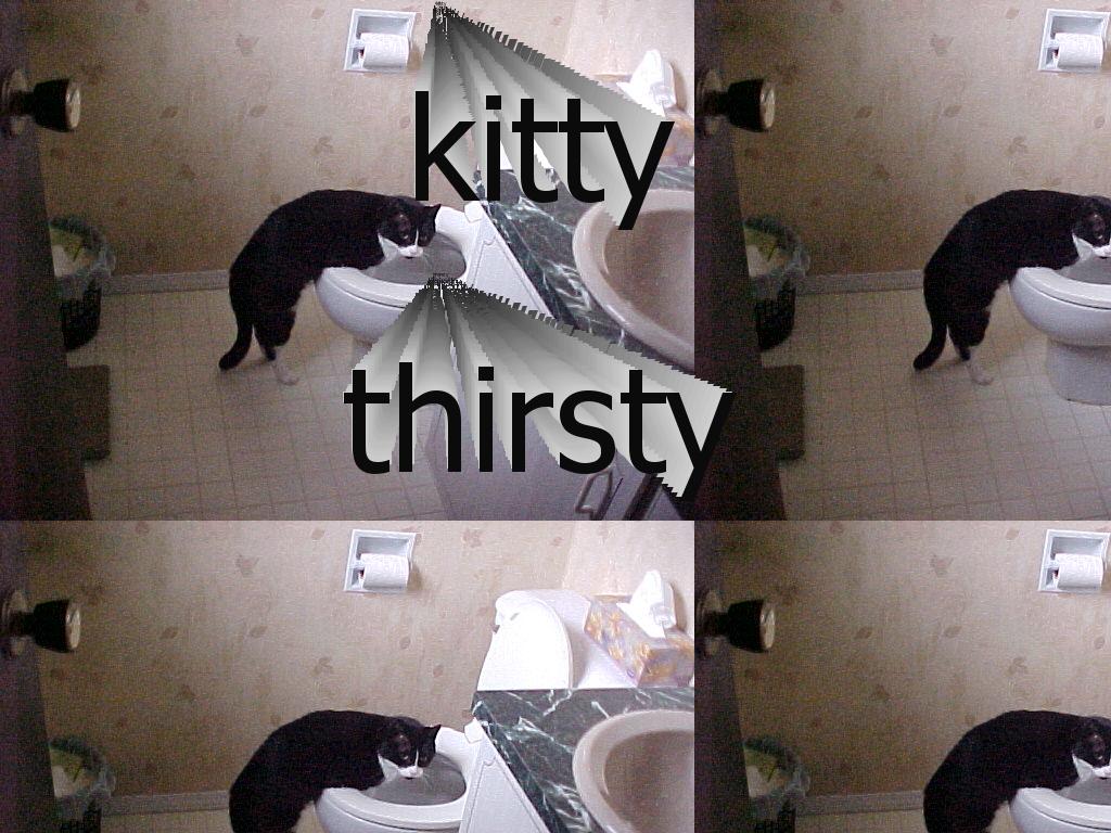 KittyThirsty