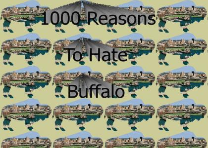 1000 Reasons To Hate Buffalo