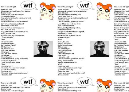 Interpretation - Hamtaro