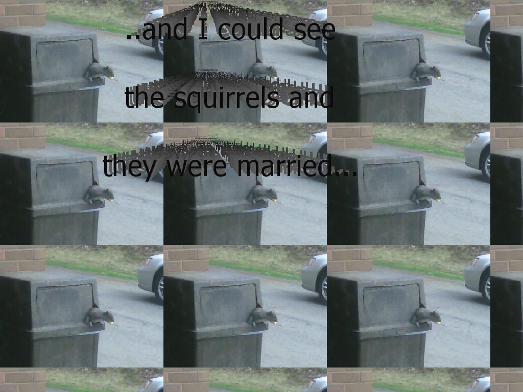 squirrellove