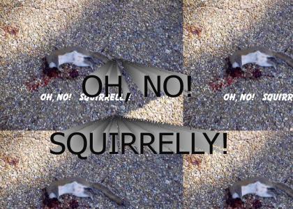 Death of a Squirrel