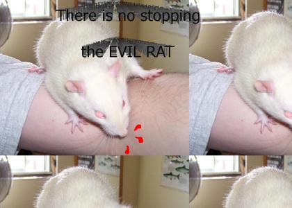 test poopy the evil rat