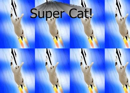 I'm a super cat (SOUND FIXED!)