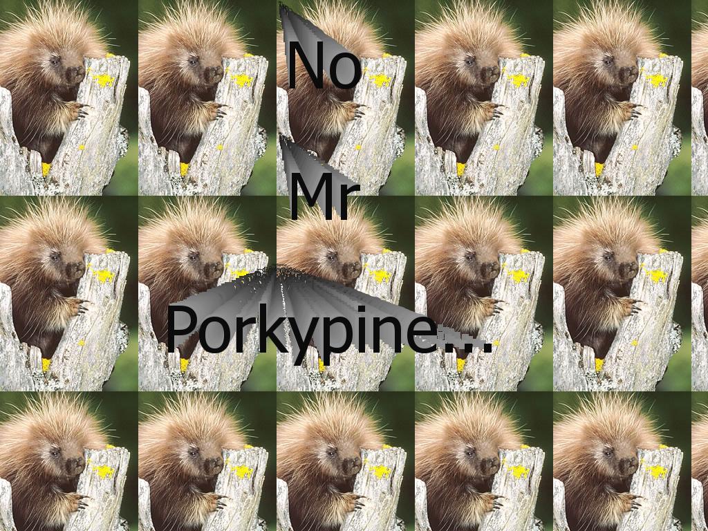 mrporcupine