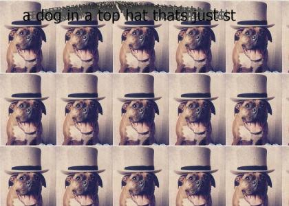 stupid top hat dog