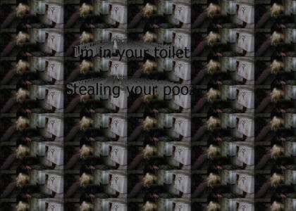 I'm in your toilet, stealing your pooz