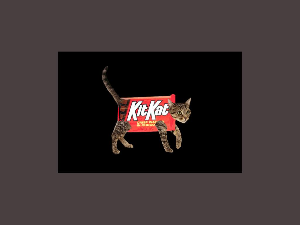 kitkatbarz