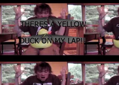 There's a yellow duck on my lap!!!!