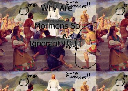 Mormons Are Stupid