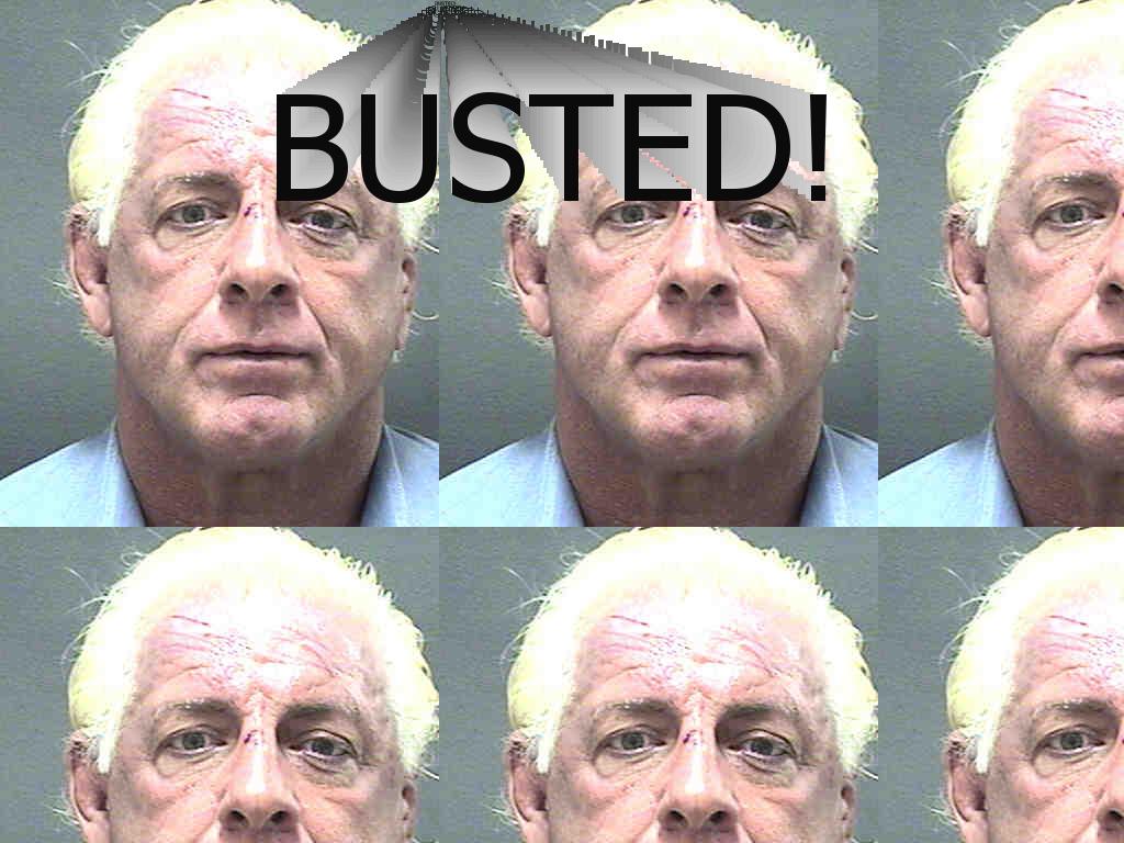 Ricflairbusted