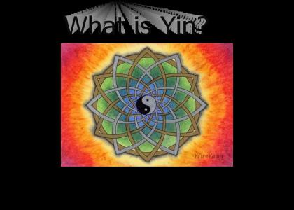 What is Yin?