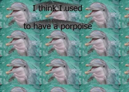 Porpoise!