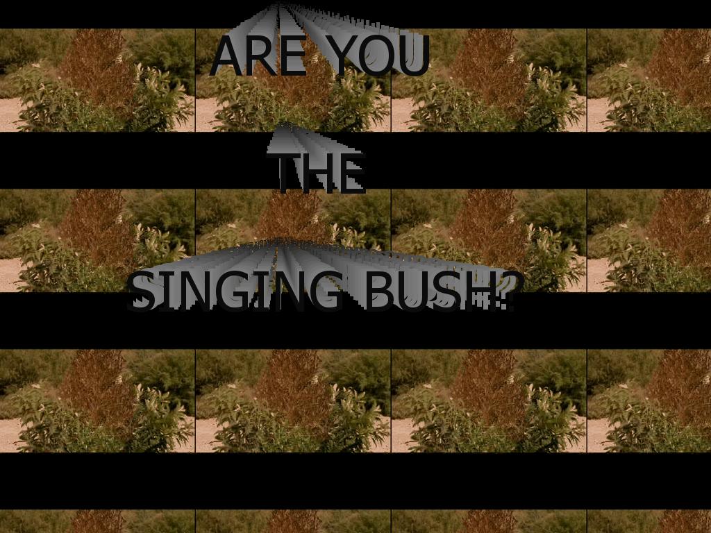 singingbush