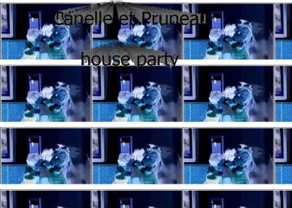CAnelle et pruneau Techno house party