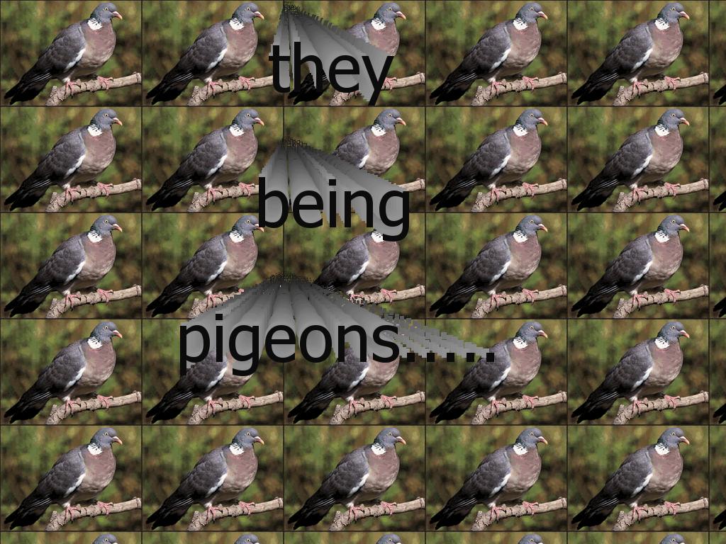 pigeoncraps