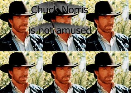 Chuck Norris is not amused
