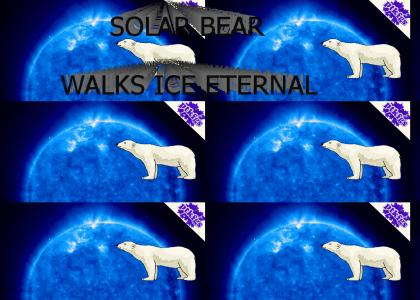 PTKFGS: SOLAR BEAR