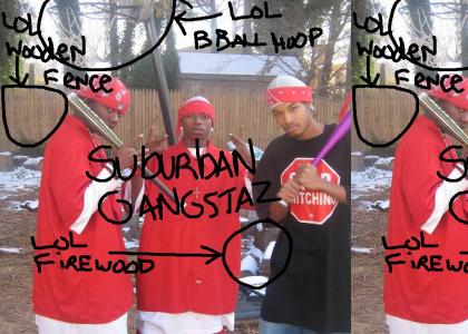 SUBURBIAN GANGBANGERS