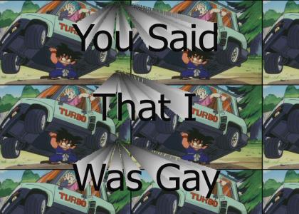 You Said I was Gay