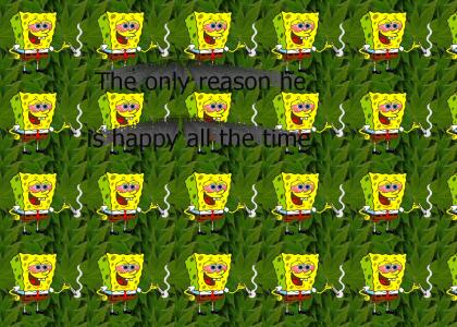 All Spongebob does....