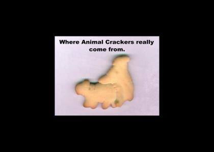 Epic Animal Cracker Maneuver