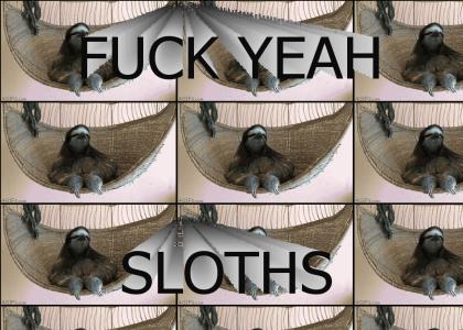 Sloths are friggen awesome