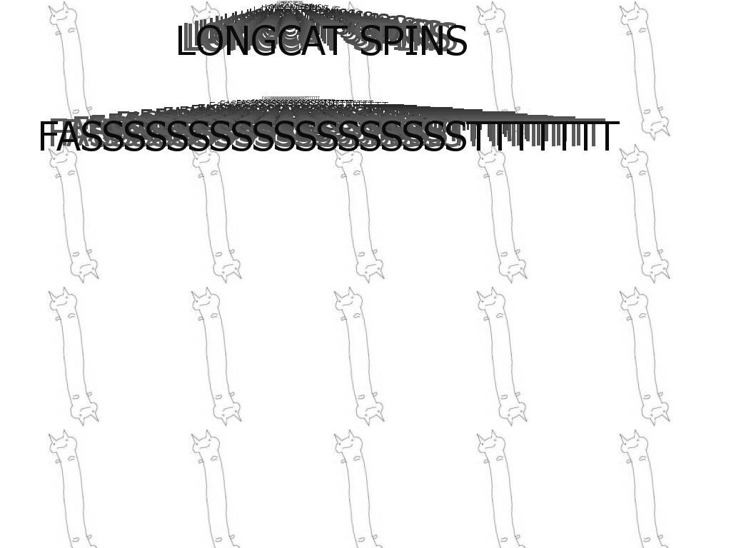 longcatspin