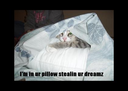 Steal'in ur dreamz!