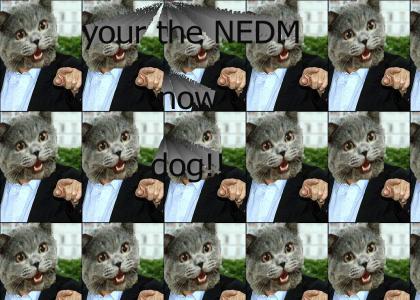 your the NEDM now dog!