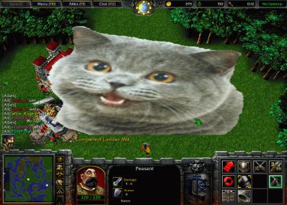 Warcraft 3 Just got a bit more...