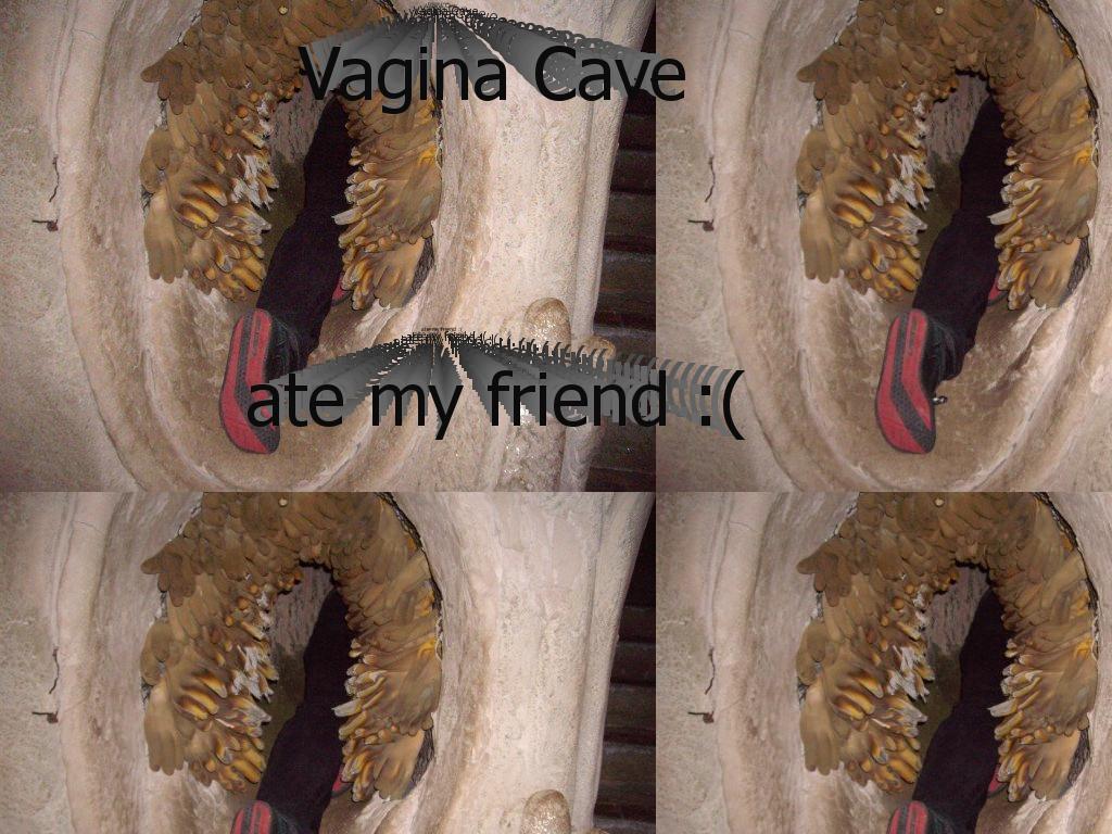 vaginacave