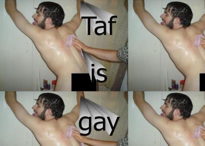 taffy is gay