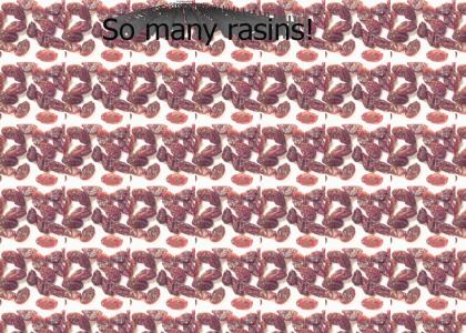 Soo many rasins!