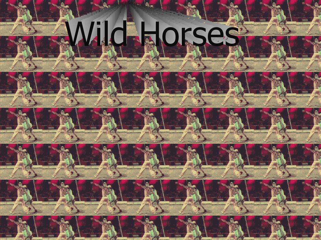 whildhorses