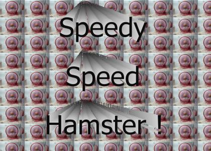 Speedy speed hamster