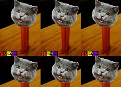 PEZ Cat