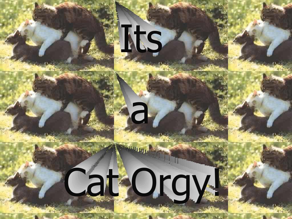 Cat-orgy