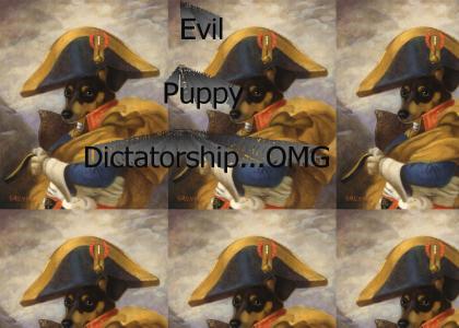 Puppy Dictators