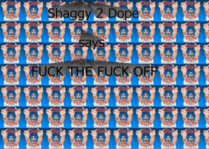 shaggy 2 dope