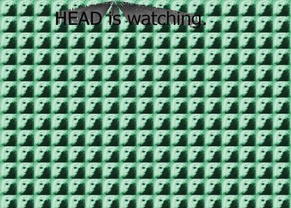 HEAD is watching