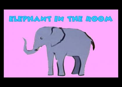 ELEPHANT IN THE ROOM