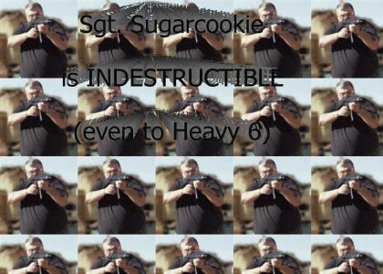 Sergeant Sugarcookie Is Indestructible