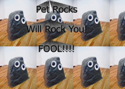 PetRock