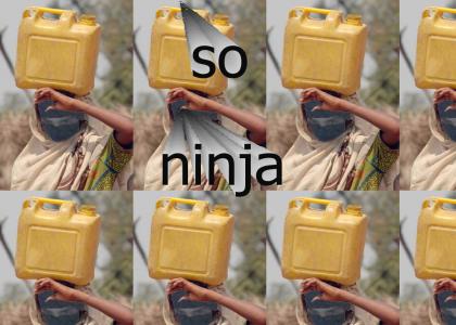 Ninja Blanace
