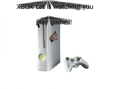 XBOX is for pussies